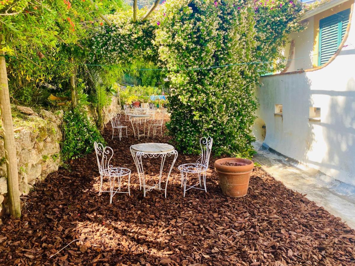 Casa Da Adoa B&B Portinho da Arrábida Dış mekan fotoğraf