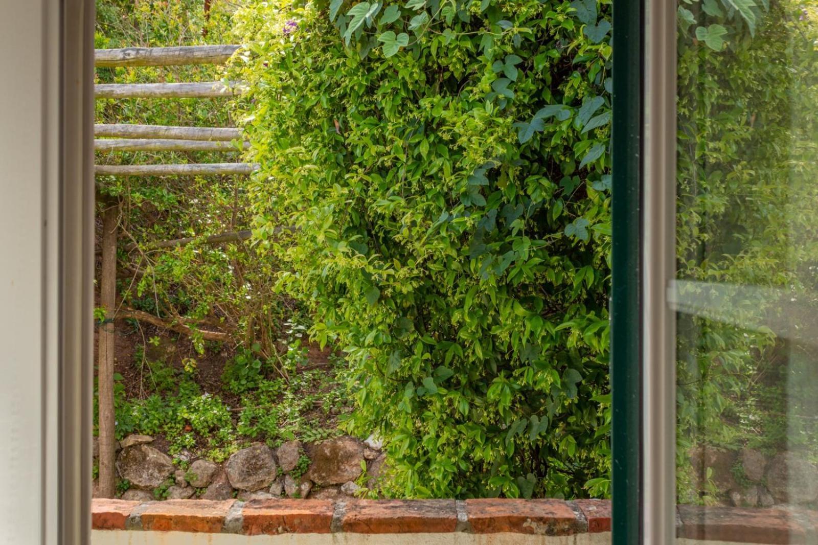Casa Da Adoa B&B Portinho da Arrábida Oda fotoğraf